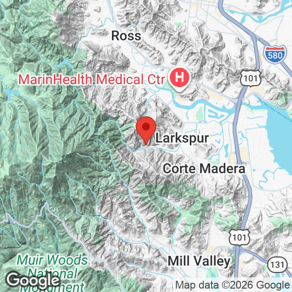 Map of 334 Madrone Avenue